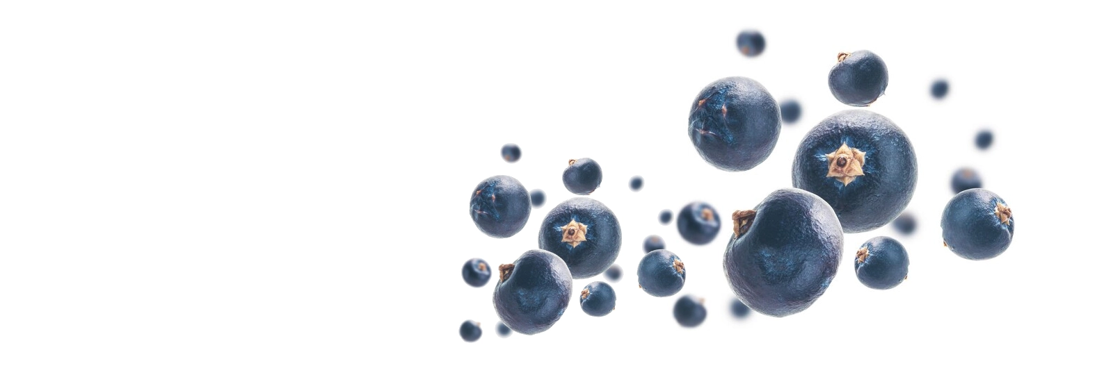 <b>Delicioso</b> Café Açaí